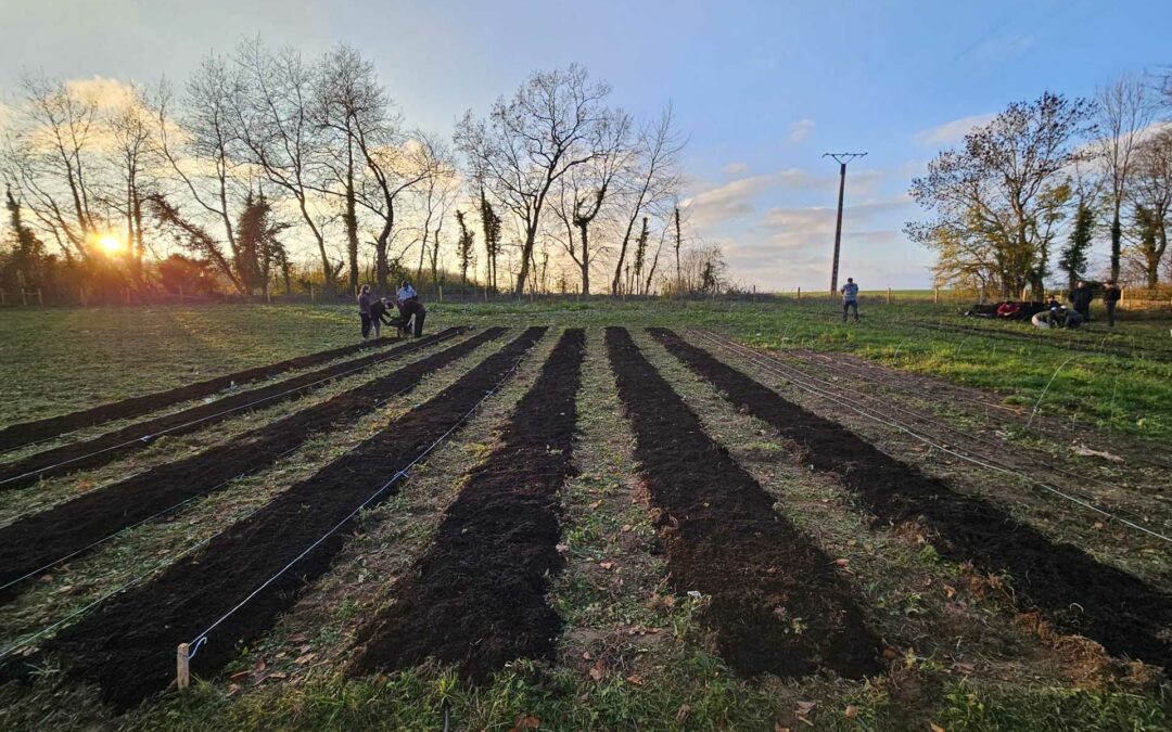 Journée Solidaire AXONE pour Planteurs