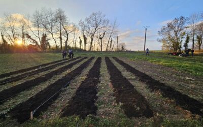 Journée Solidaire AXONE pour Planteurs