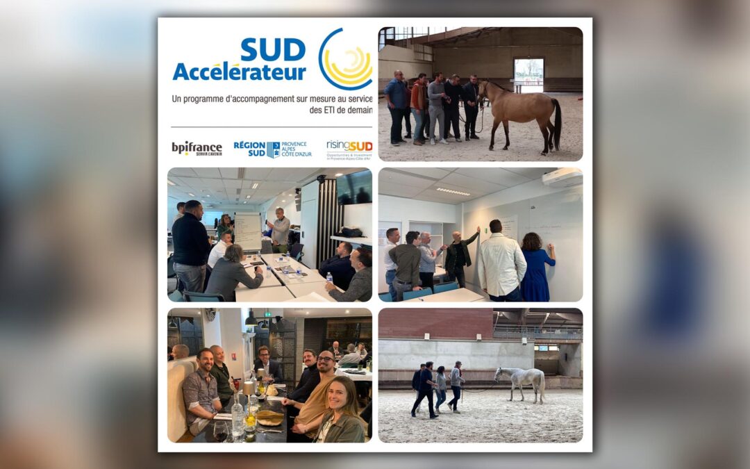 AXONE fait partie du programme d&rsquo;accompagnement sur mesure Sud Accélérateur